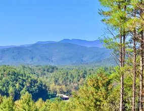 Lot 104 Johns Ridge Parkway