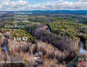 Lot 42