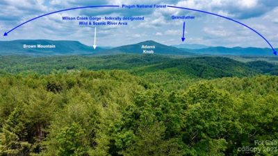 Lot 731 view (002)