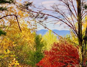 Lot 234 Waterfall Ln